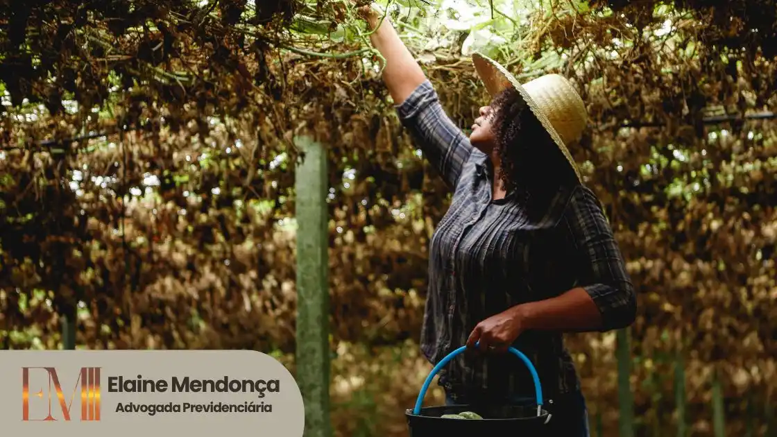 Salário Maternidade rural segurada