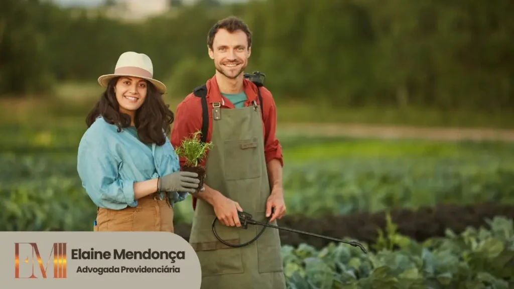 Salário Maternidade rural segurada como organizar