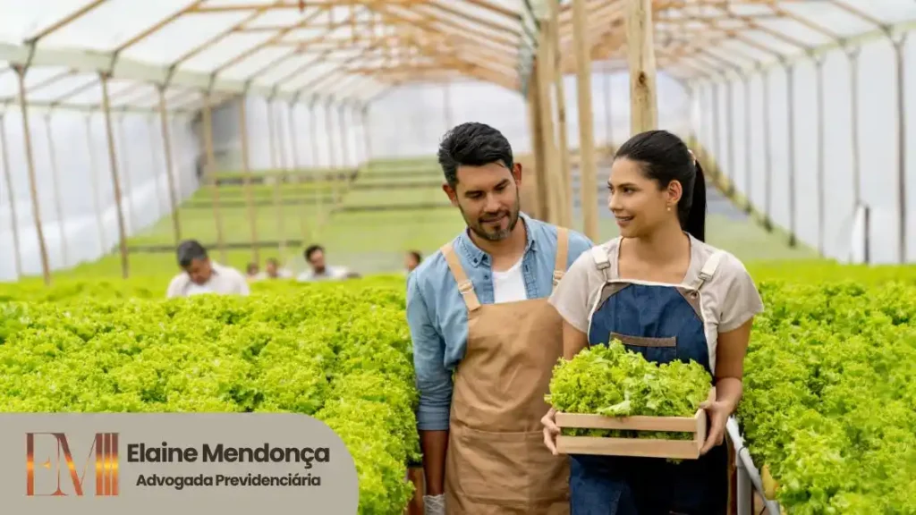 Advogado especialista em Salário Maternidade rural segurada como organizar